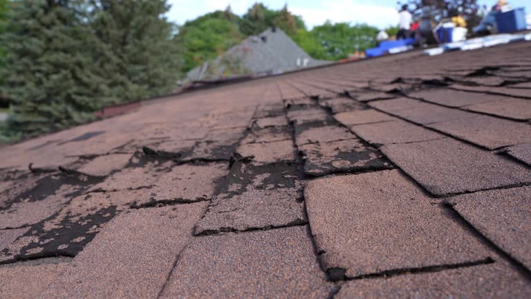 Best Roof Leak Repair  in Bellaire, OH